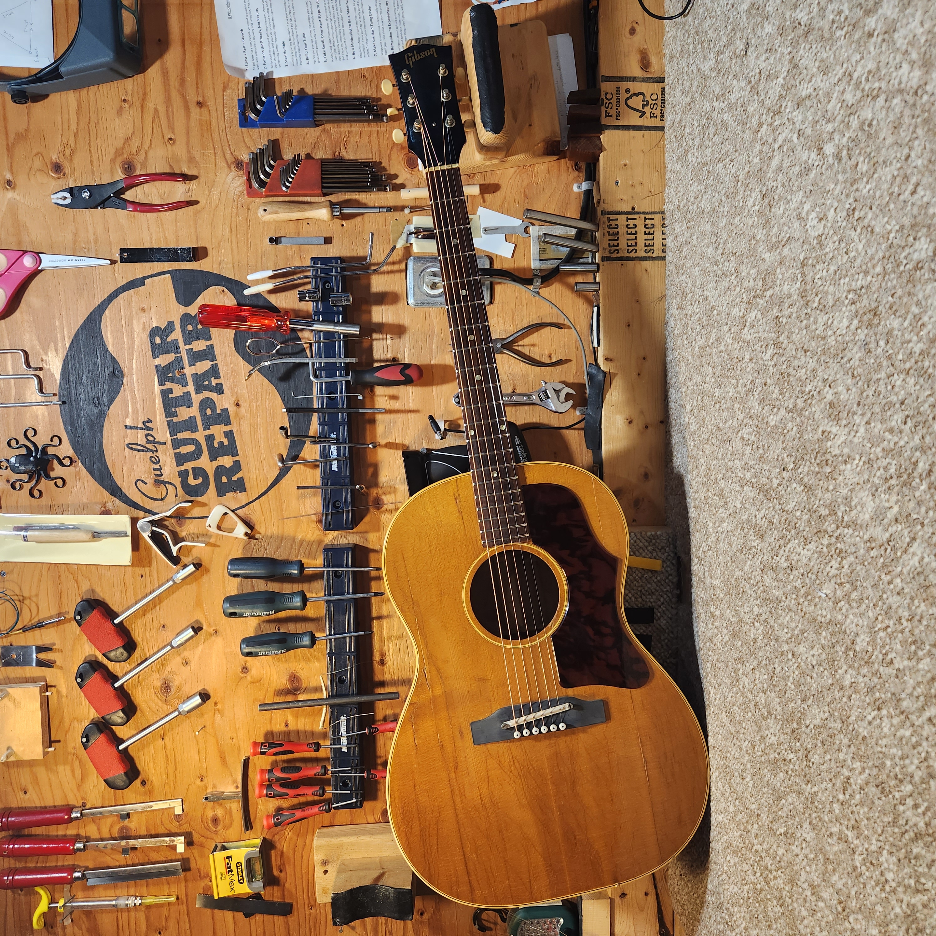 Gibson B25 - dumpster find - Guelph ON