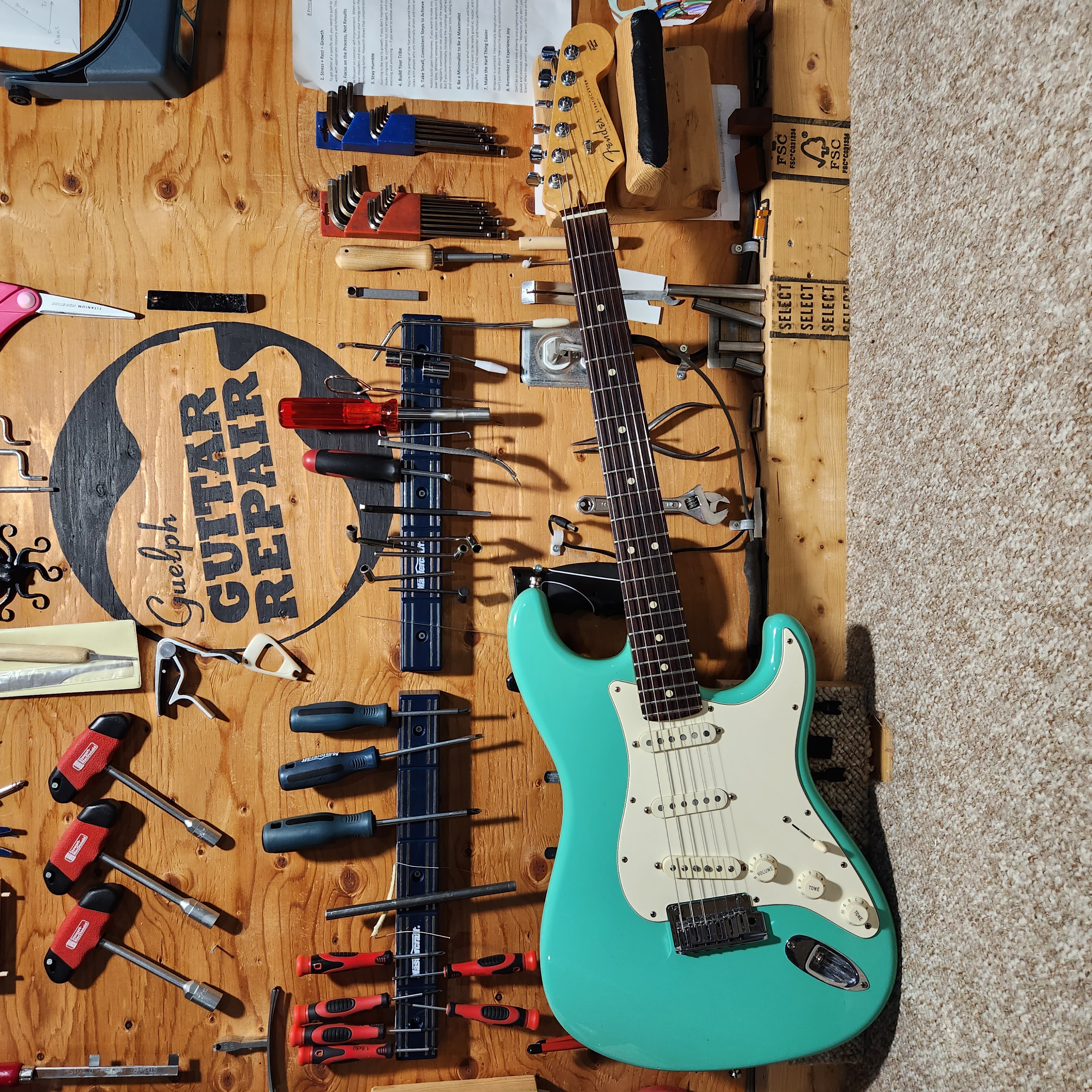 Nut Replacement - electric guitar nut replacement services in Guelph, ON - Guelph Guitar Repair